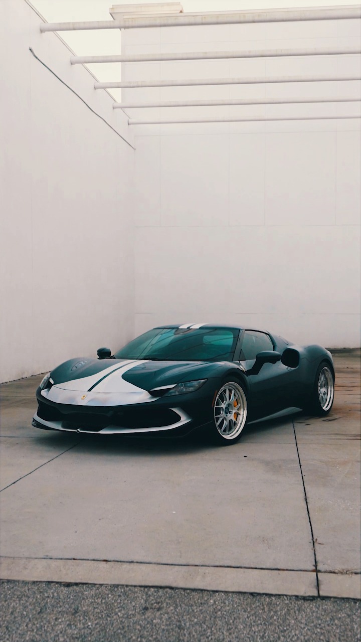 Purisic Performance | Naples FL