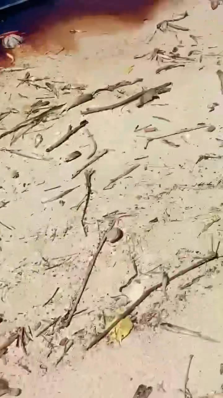 PITY THE WHITE BEACH! URC’S TOXIC WATER SPILL TURNS PARADISE INTO CHAOS ...