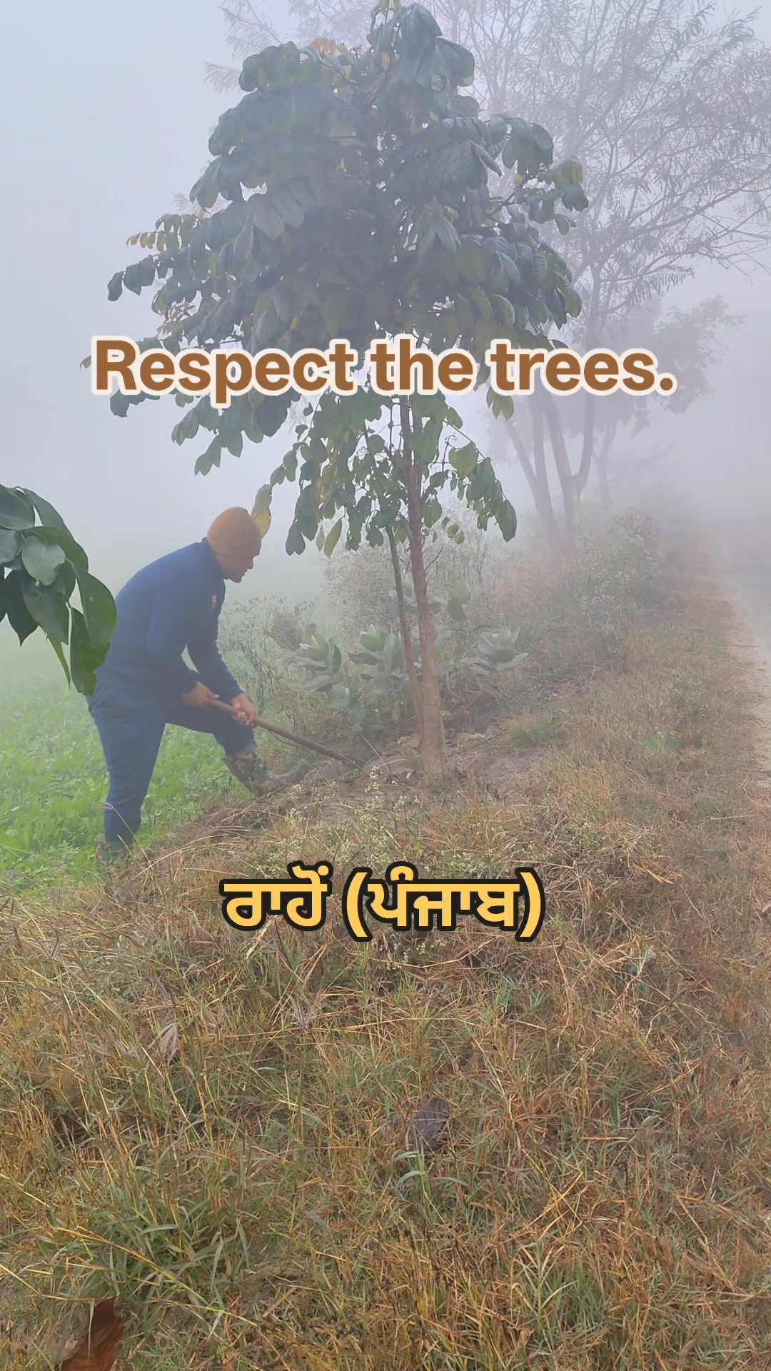 Take care of trees and plant more trees to secure the future.🌳 | Raj Kumar