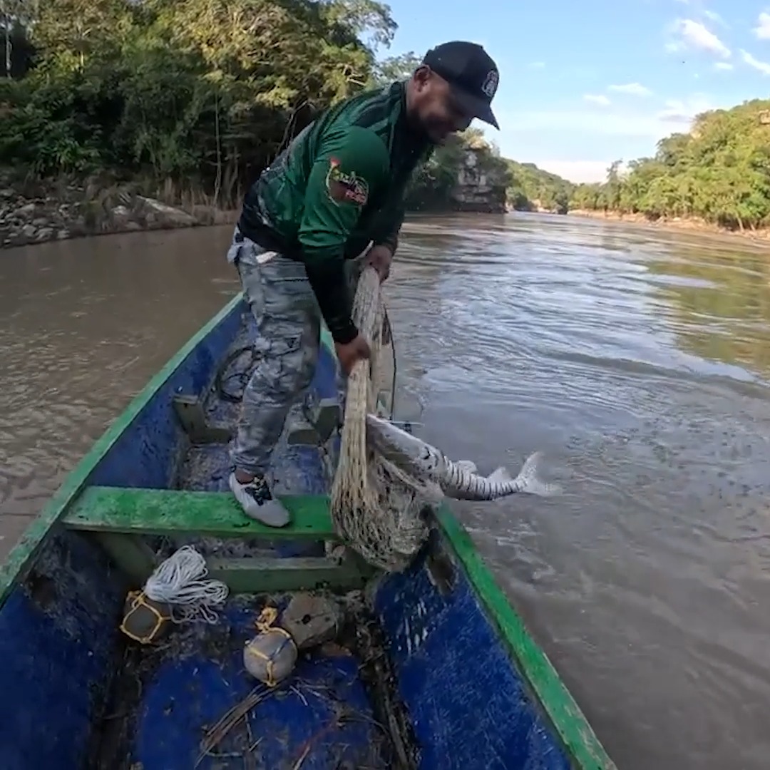Pesca con tarraya y sacamos algo buenísimo! #fblifestyle | Amigos de la ...