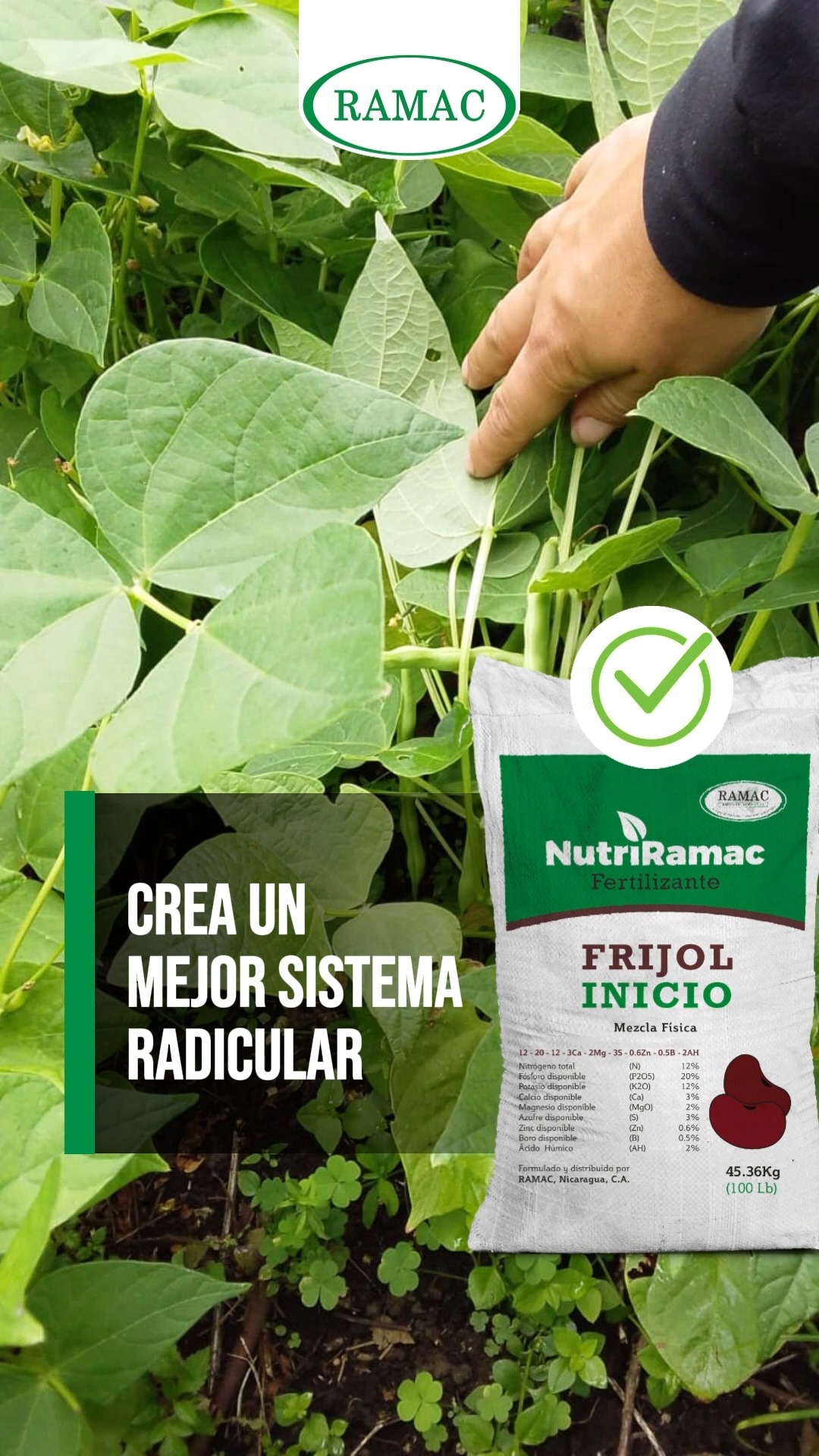 Rappaccioli - Hoy conmemoramos el Día Internacional del Arroz, un ...