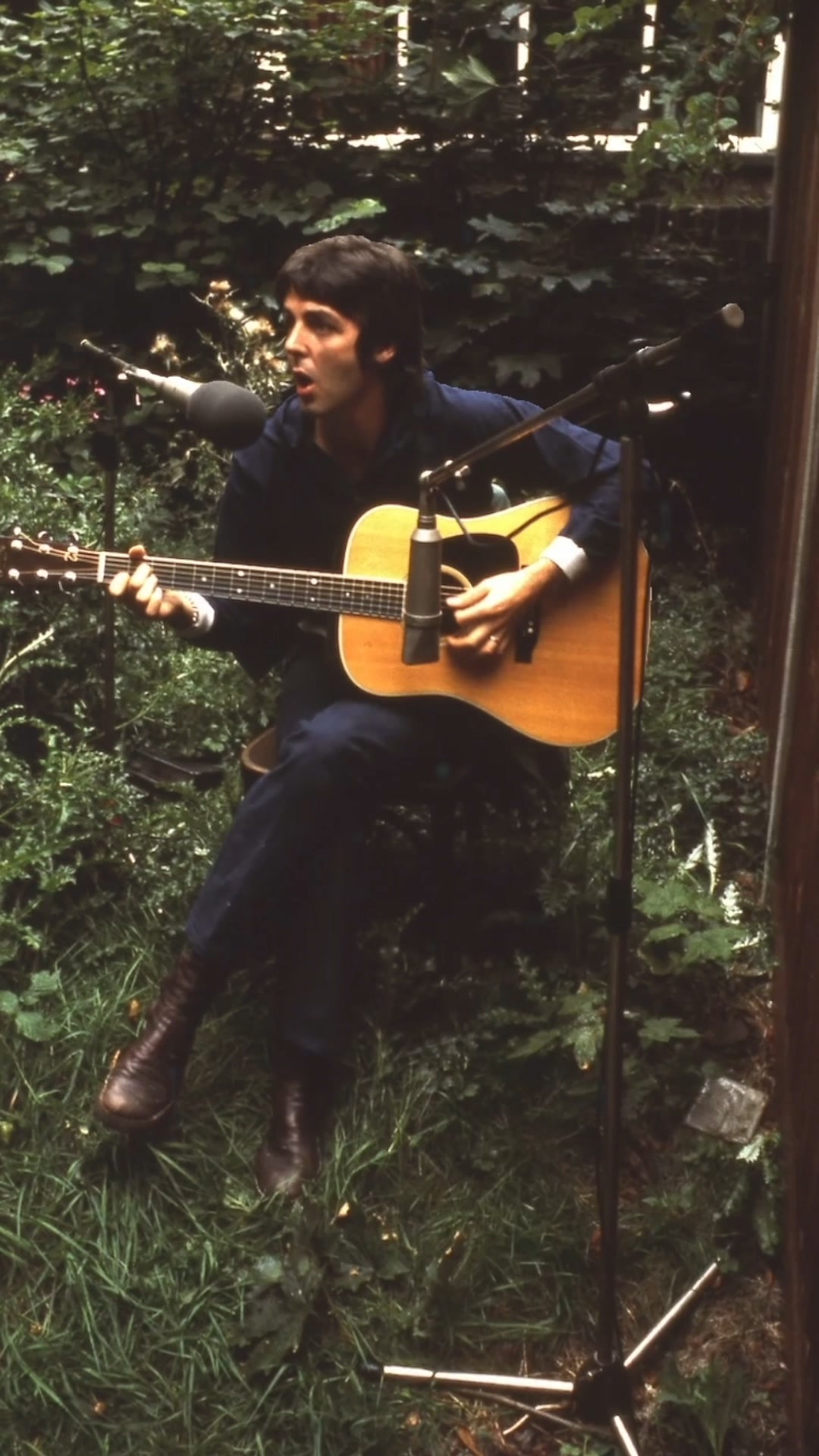 Listen to the solo performance of 'Blackbird' from the backyard of