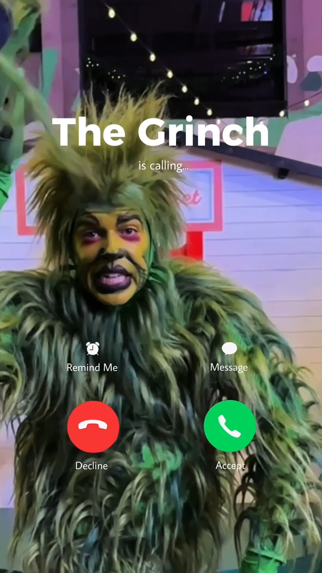 💚Opening Night of Dr. Seuss’ How The Grinch Stole Christmas! The ...