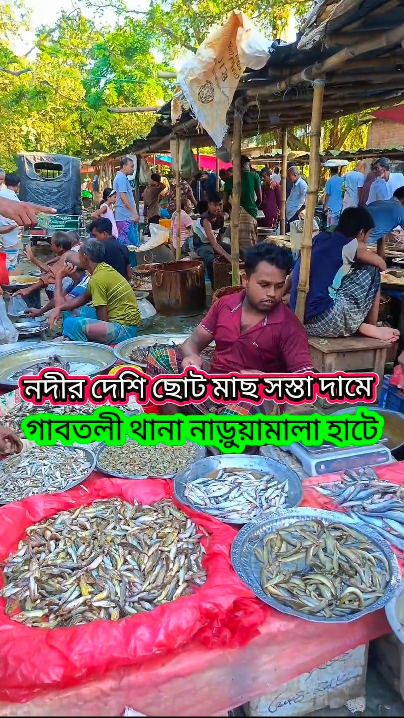 নদীর দেশি ছোট মাছ কিনেন সস্তা দামে #fishing #boguracity #reelsvideo # ...