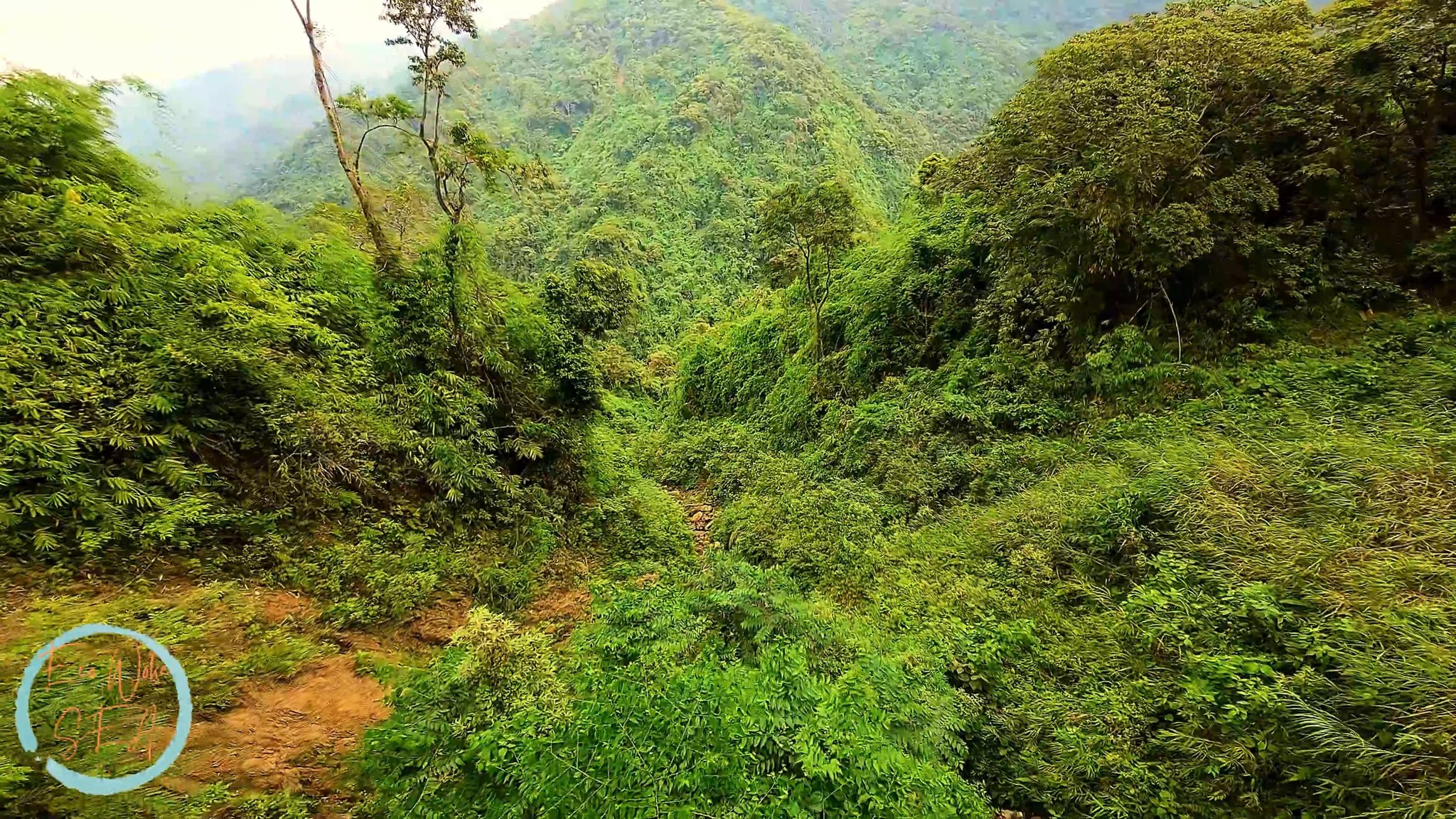 Pamagat/ Title: Ephemeral Stream Tingnan ang isang tuyo na ephemeral ...