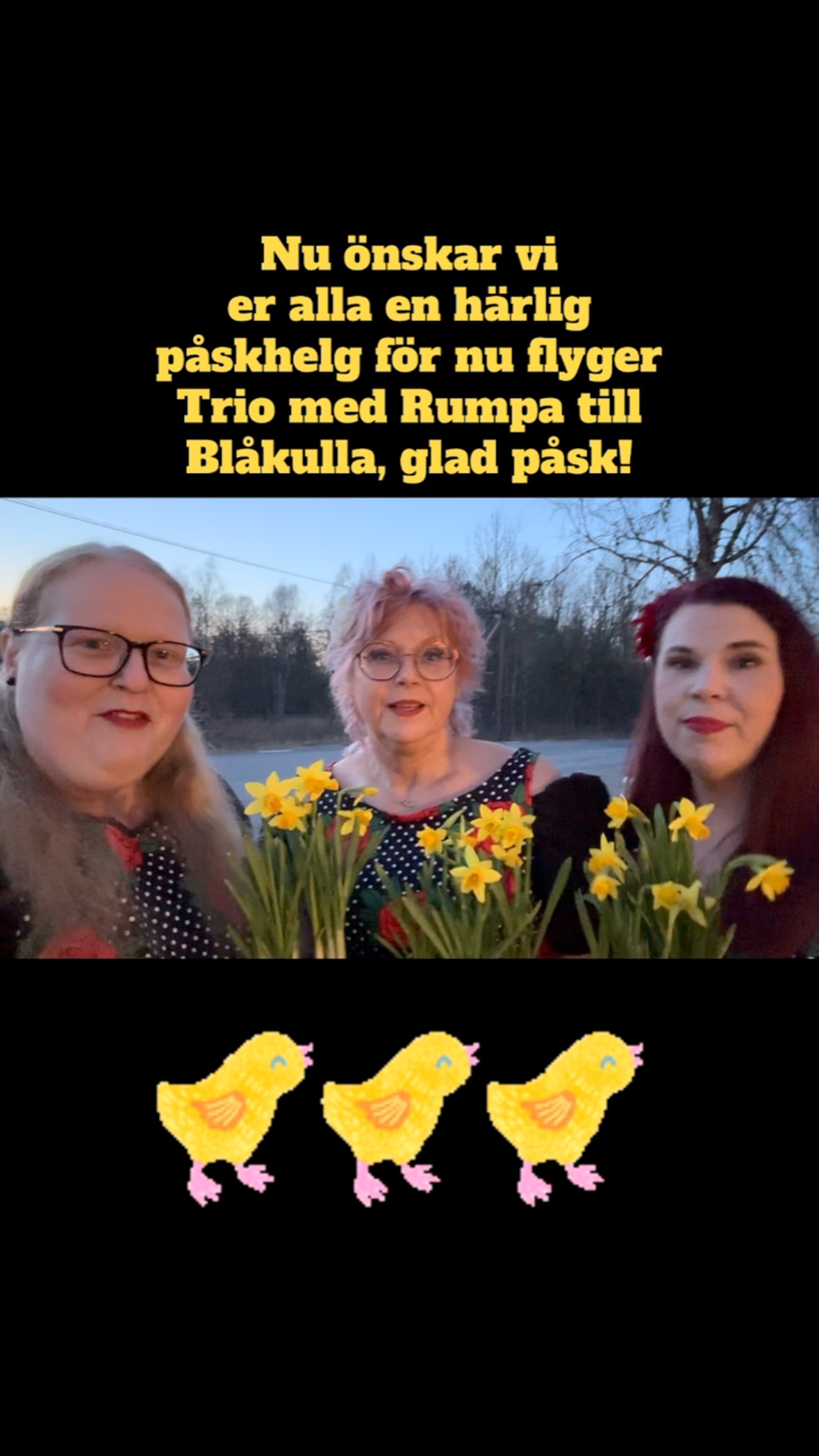 Trio med Rumpa on Reels | Facebook