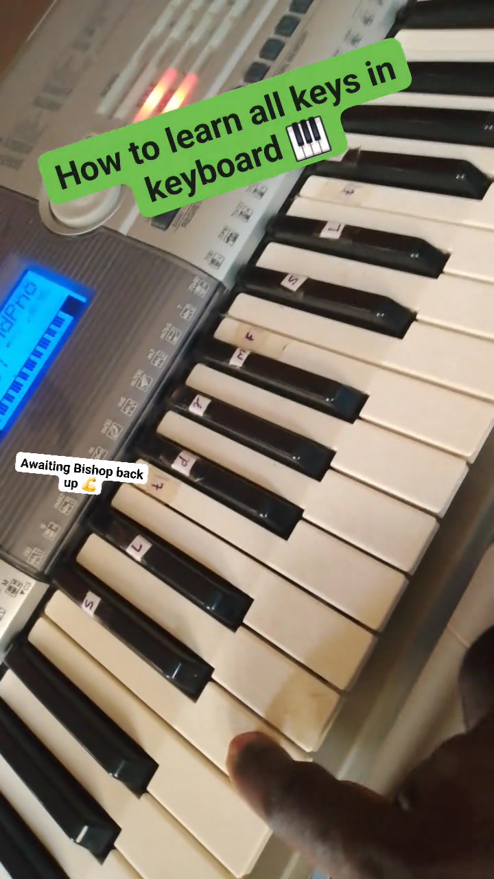How to learn all keys 🎹 in keyboard as a beginner 🤷#fyp #Livevideo # ...
