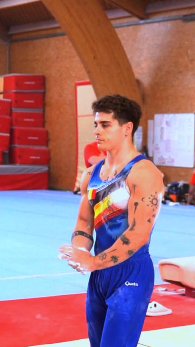 Always a pleasure to hit a routine on pommel horse even if it’s a ...