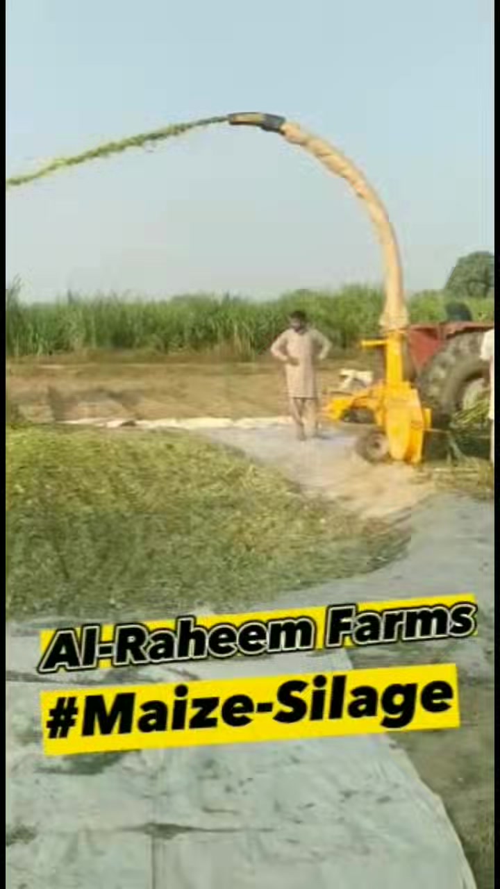 Al-Raheem Farms | Sadiqabad