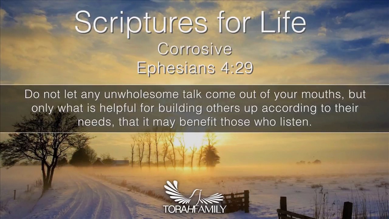 Scriptures for Life | Corrosive Daily devotion for February 17 (2 min ...