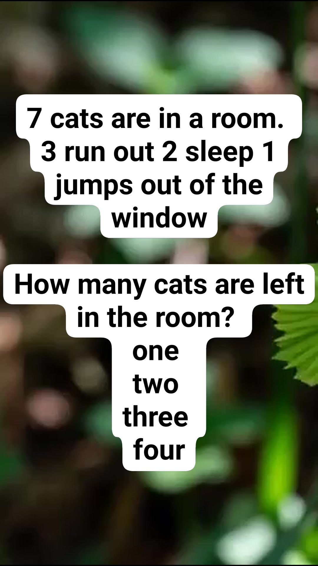 Riddle Challenge #riddle #brainteaserschallenge #riddlechallenge # ...