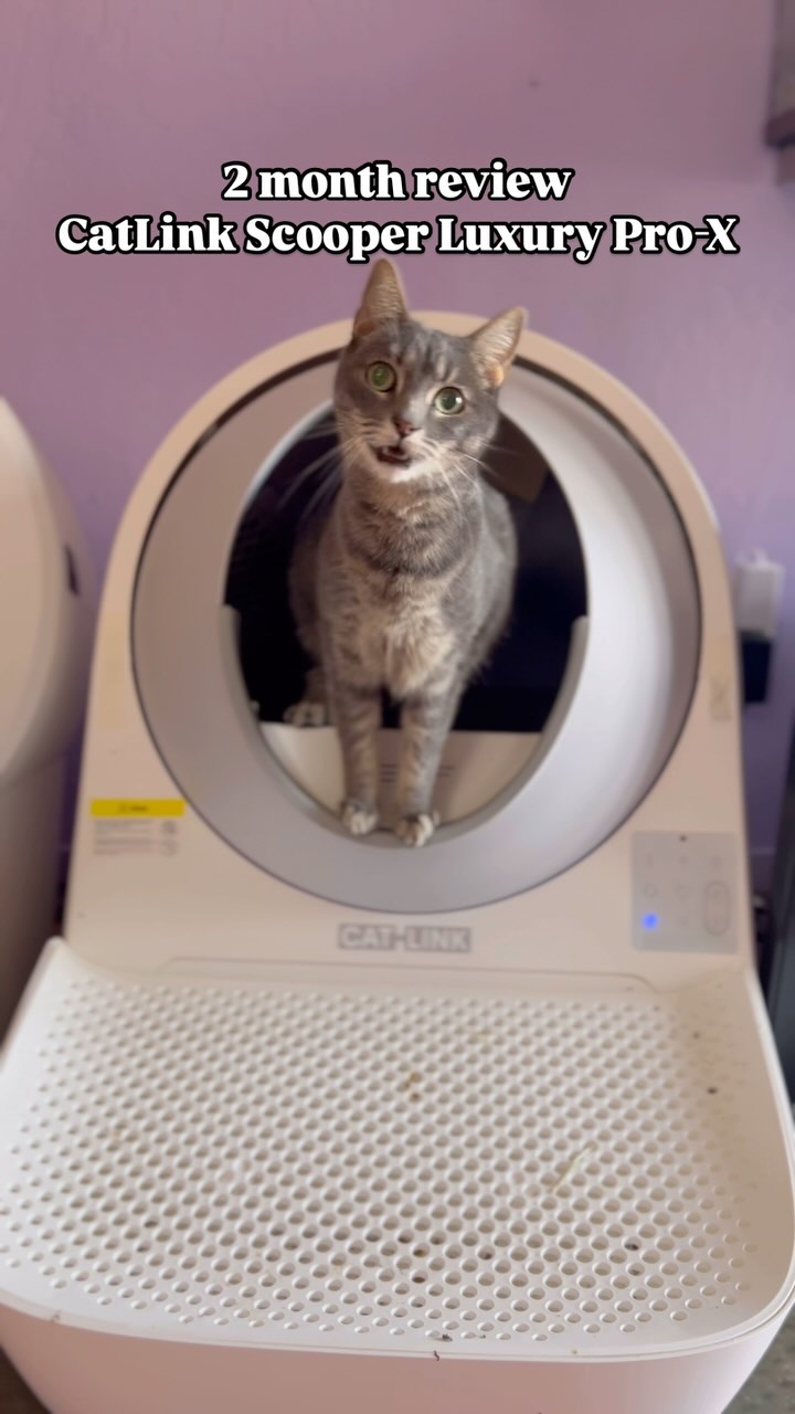 #Catlink in Video