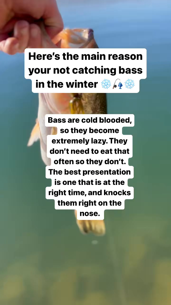 Heres the main reason your not catching bass in the winter. Bass are ...