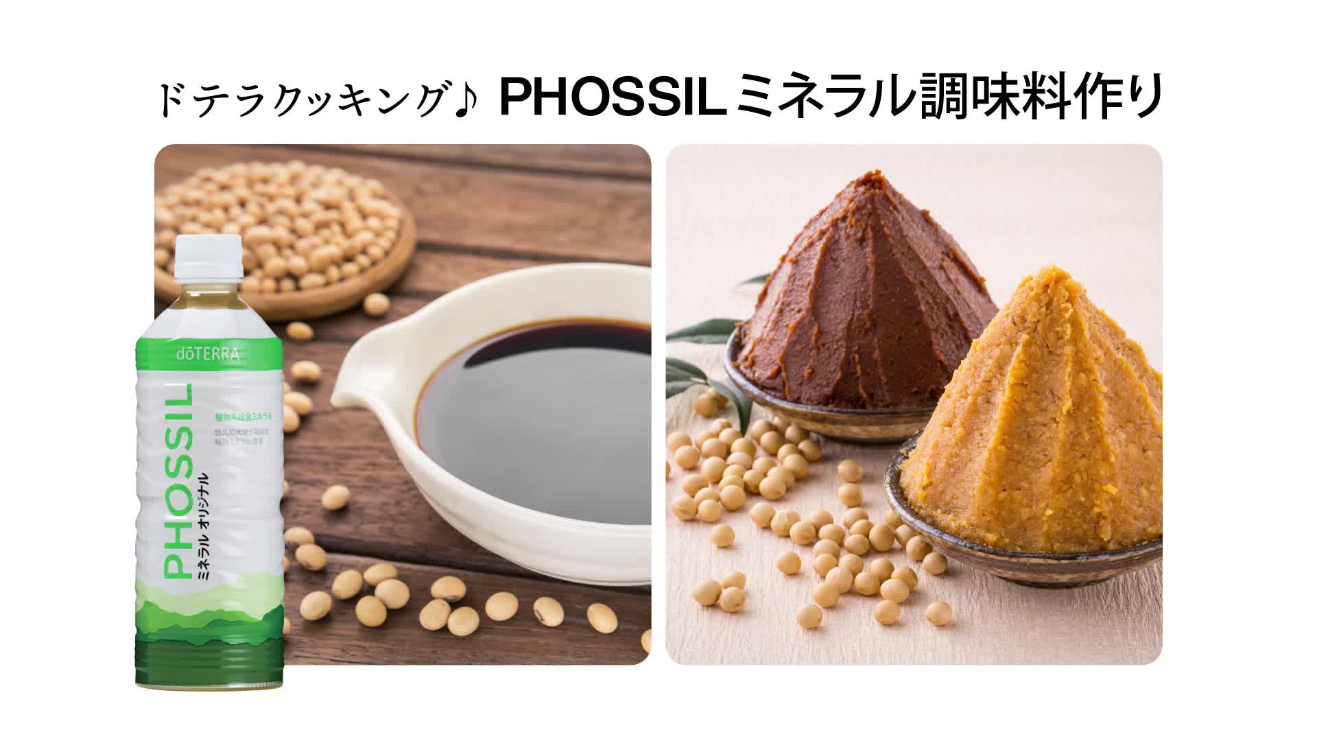 手軽にミネラルを摂取して、健やかな毎日を PHOSSIL ミネラル調味料 
