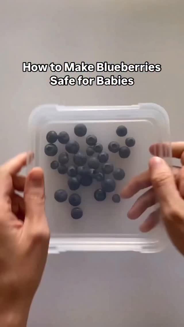 Curated visual reference: Gallery Detail: Smash For Less Risk The Round Shape Of Blueberries Makes