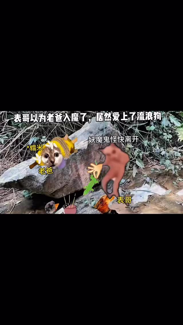 表哥不服流浪狗 . . . . #猫meme #真实还原 #搞笑 #猫meme小剧场 #万万没想到 #内容过于真实 #funny #fyp ...