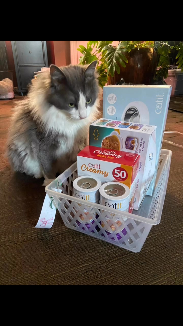Lynn’s kitties really loved the Catit raffle basket they won. # ...