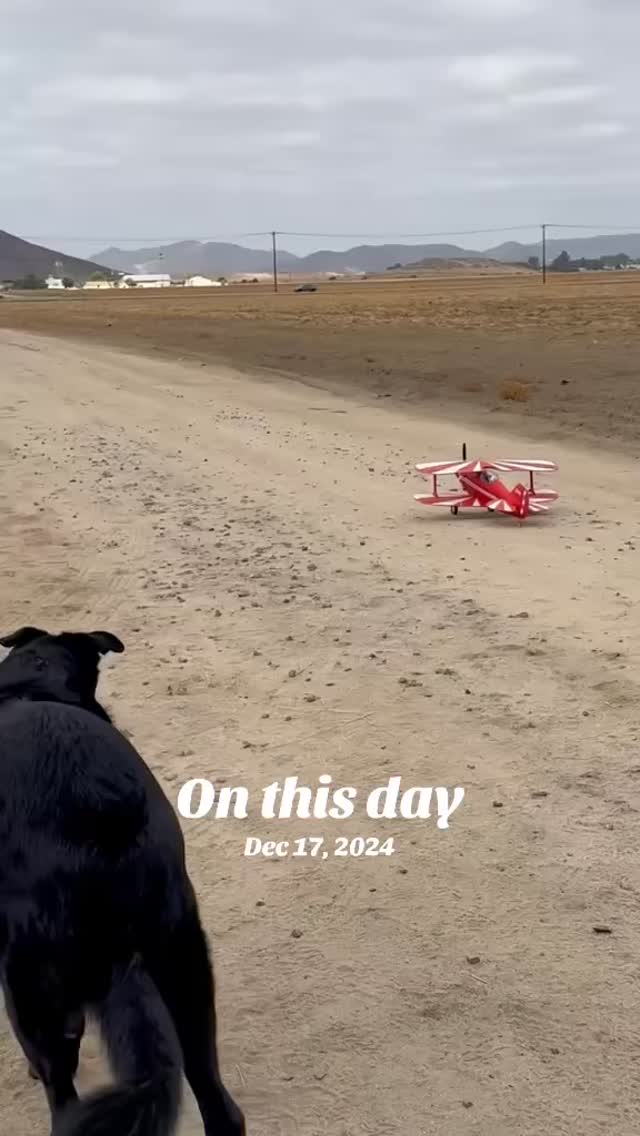 Full throttle, tail up, and my co-pilot Ford never misses a takeoff 🐶 ️ ...