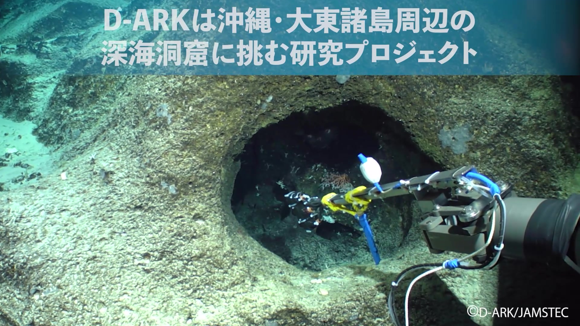 ✦D-ARK通信その5💨✦ #オーシャンショットプロジェクト ＼✨日本初