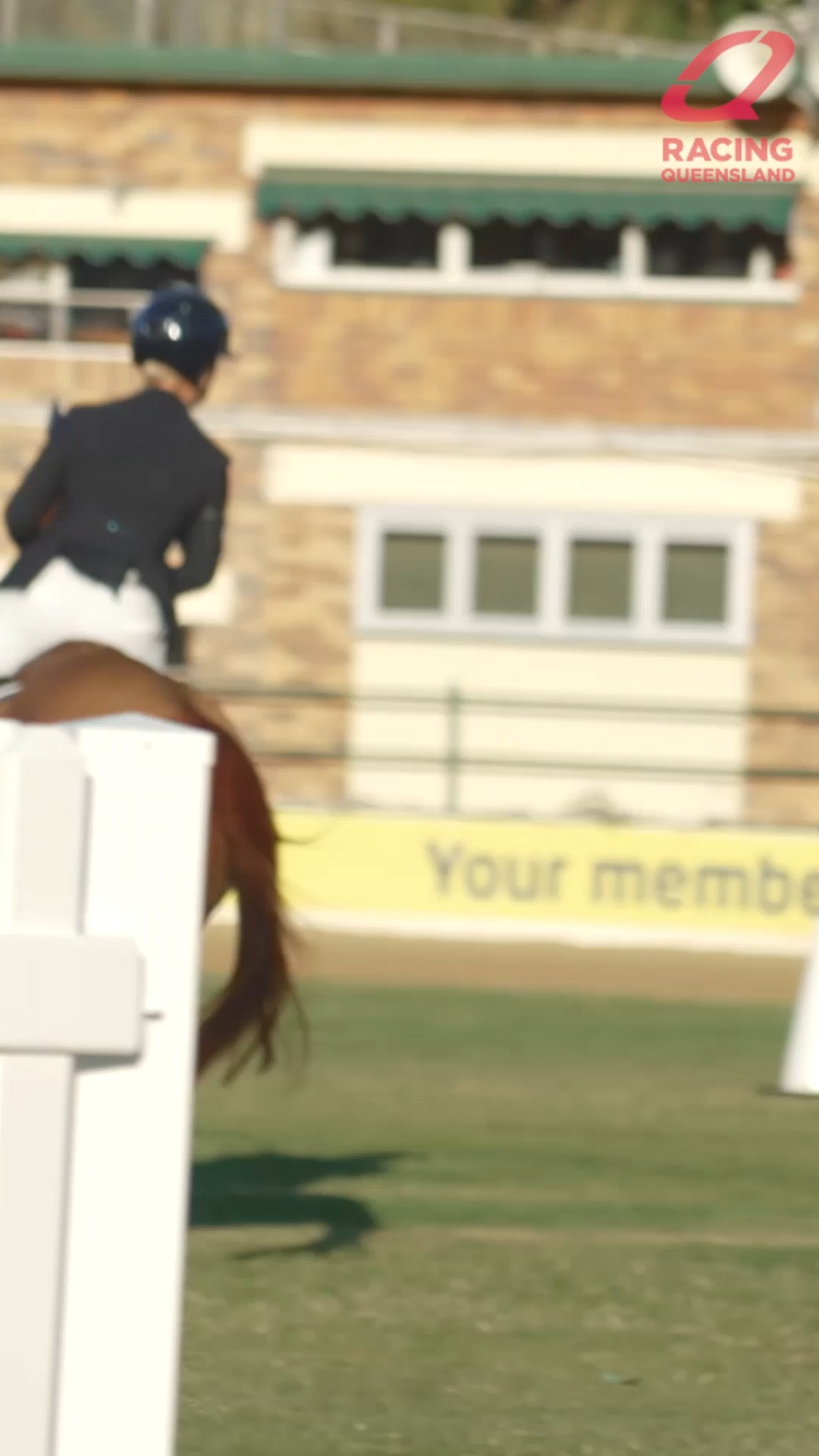 QOTT Overview | horse racing, student, coach, video recording | 🎥 Over ...