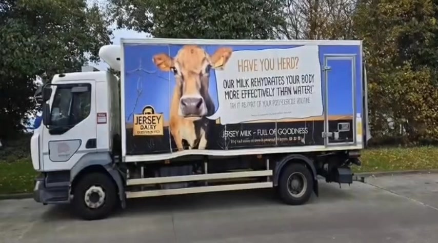 Look out! One of our Jersey cows is on the loose! ‼️ 🚨 We love this fab ...