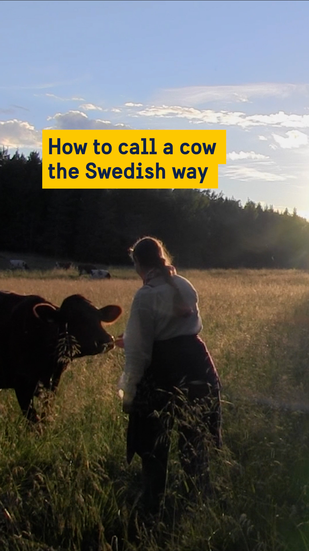Sweden.se - 👂 What's this yodelling-not-yodelling? It's... | Facebook