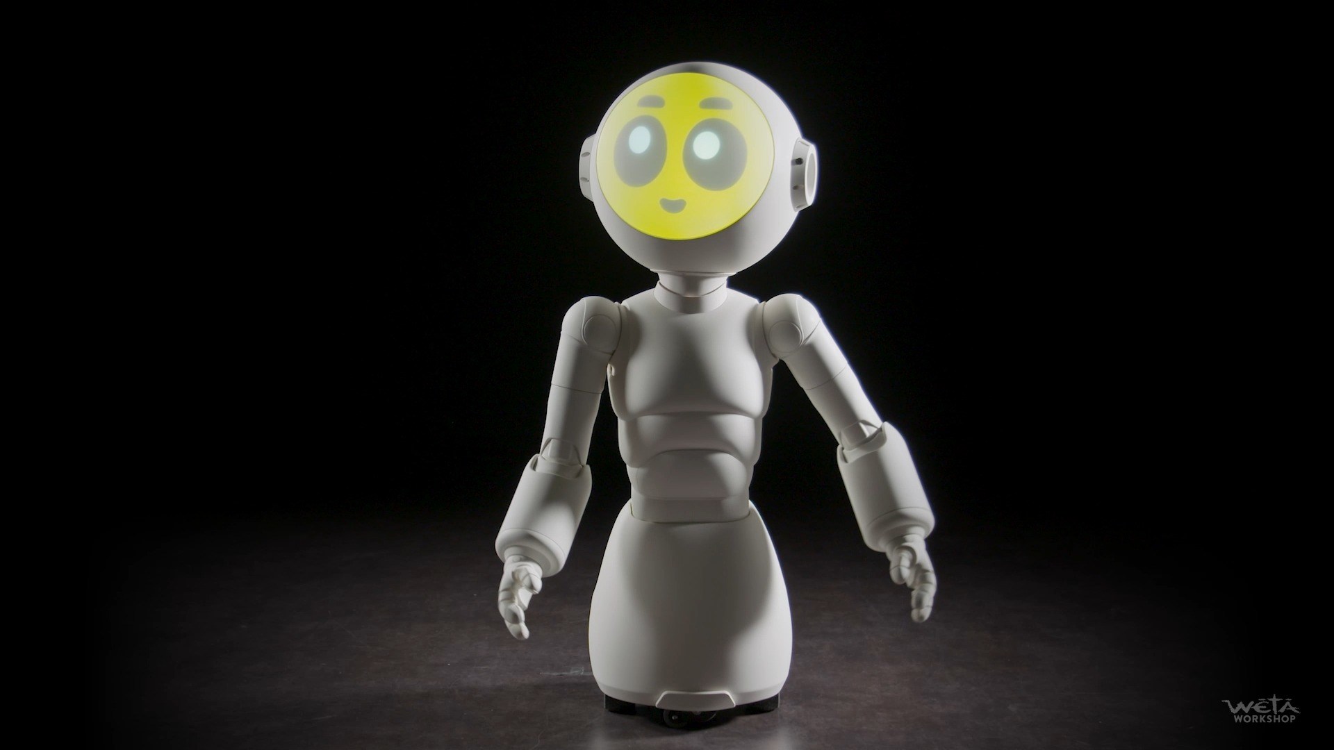 Say hello to Sunny! We created a 'cutting-edge domestic robot
