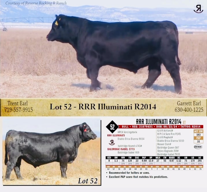 Proud of our large list of bulls that can be used on heifers or cows ...