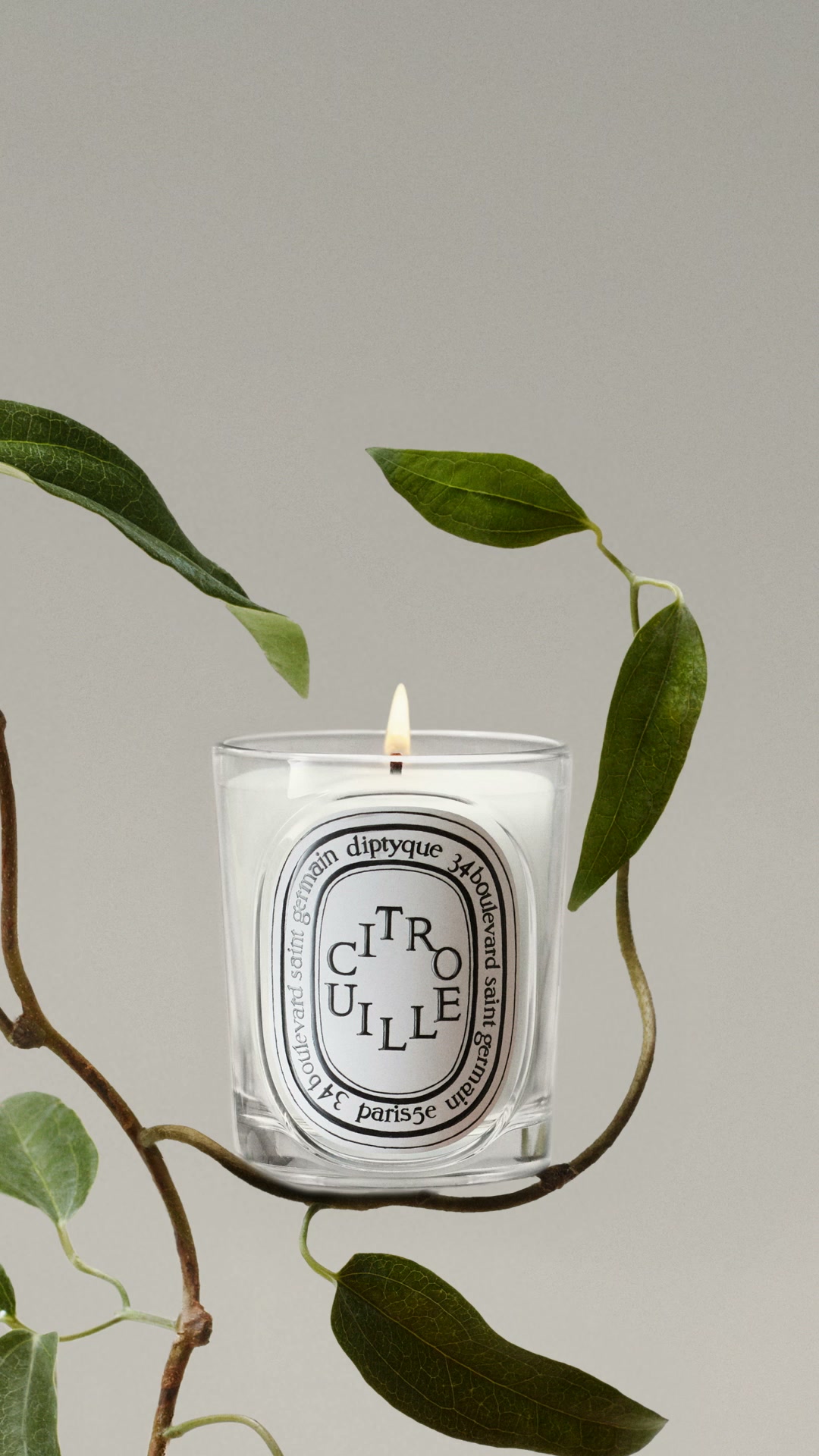 シトルイユ（パンプキン）キャンドル | diptyque