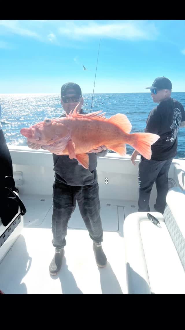 Due to overfishing, Cow Cod was put on the endangered species list in ...