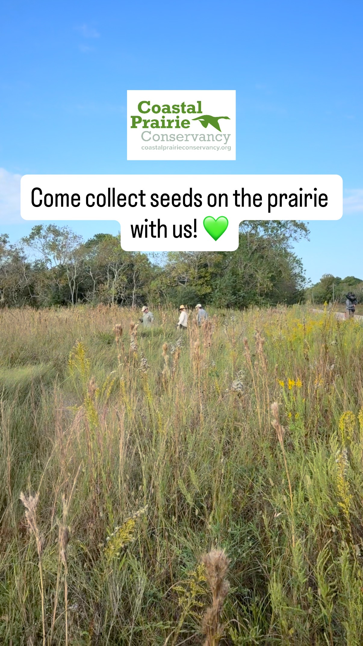 Volunteer with our Seed Collecting Program! 🌱 Throughout the year, our ...