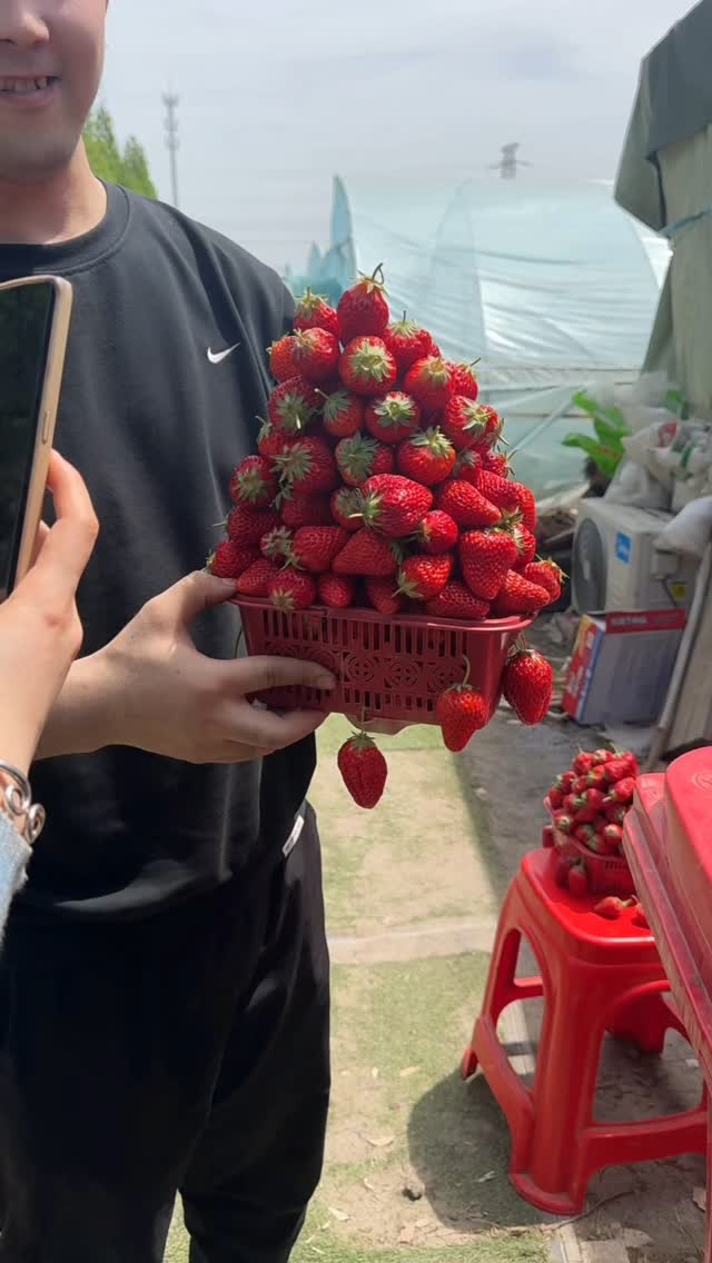 Send it to a friend who can eat it all in one go 🧺🍓🍓🍓🍓🍓🍓🍓🍓🍓🍓🍓🍓🍓🍓🍓🍓🍓🍓 ...