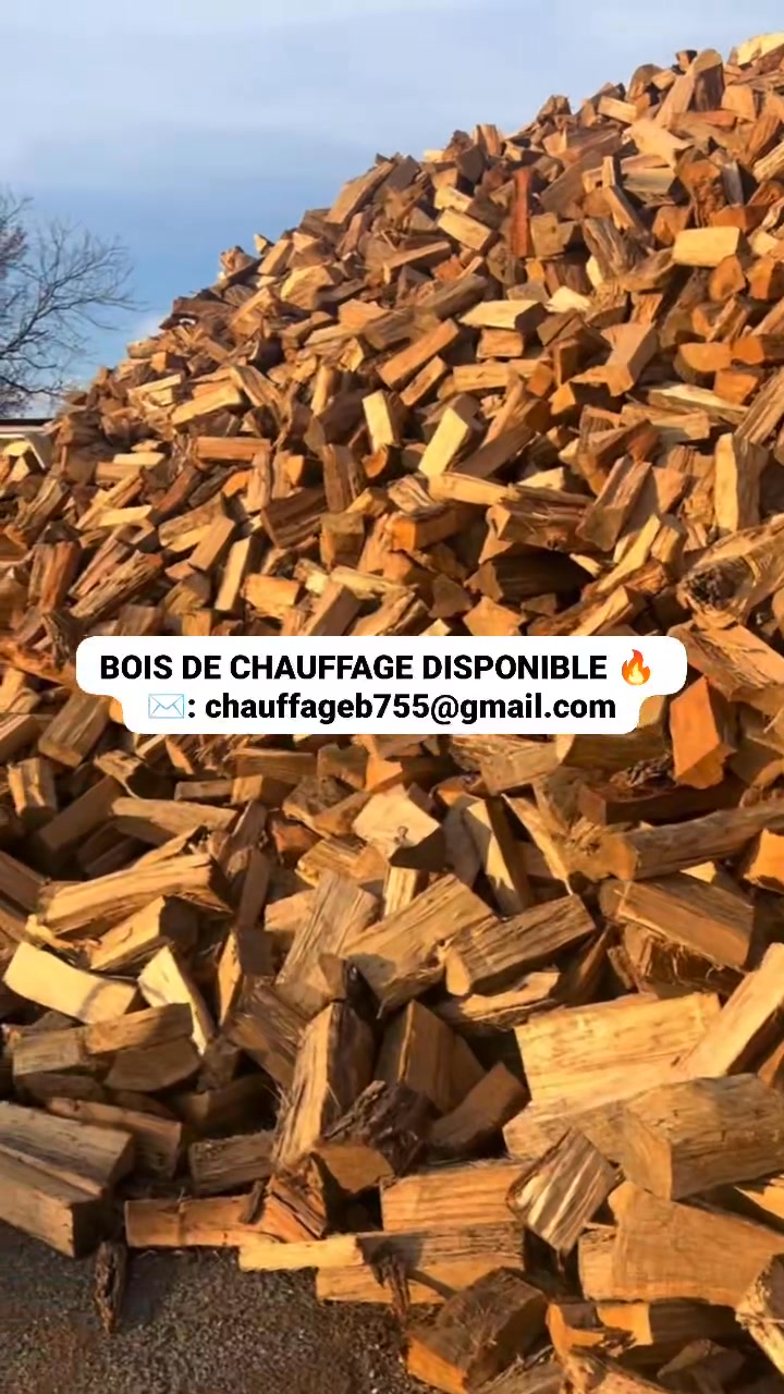 Sitemapcdatahttpsshopinf Inetcombricorama Bois De Chauffagenull