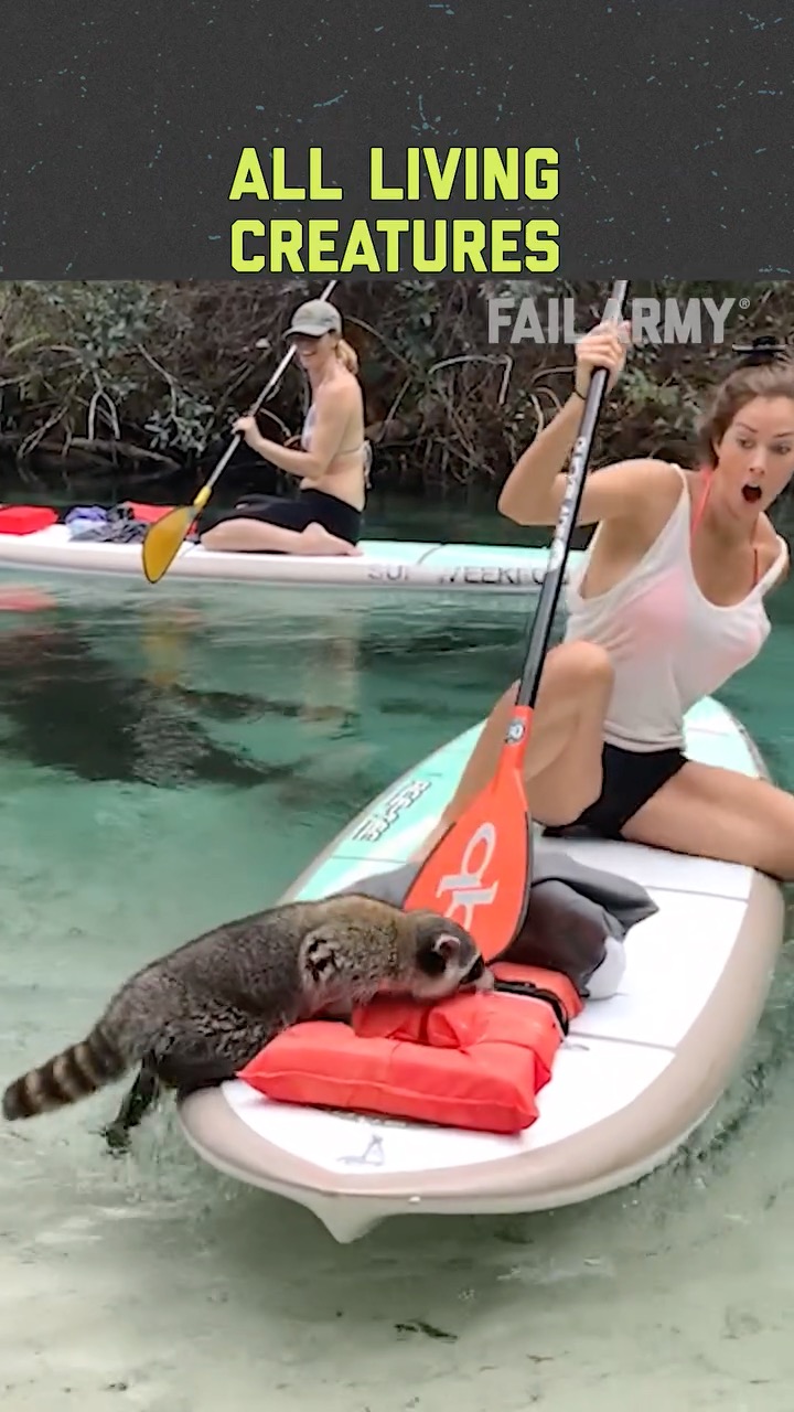 FailArmy on Reels | Facebook
