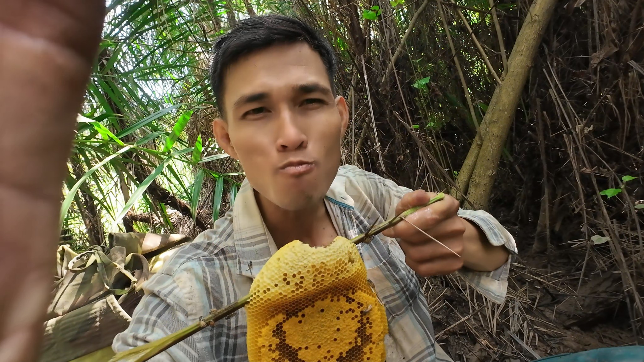 lấy ONG Rừng xémLẠC trong rừng chà là dẫn lối bắt được con cua chà bá ...
