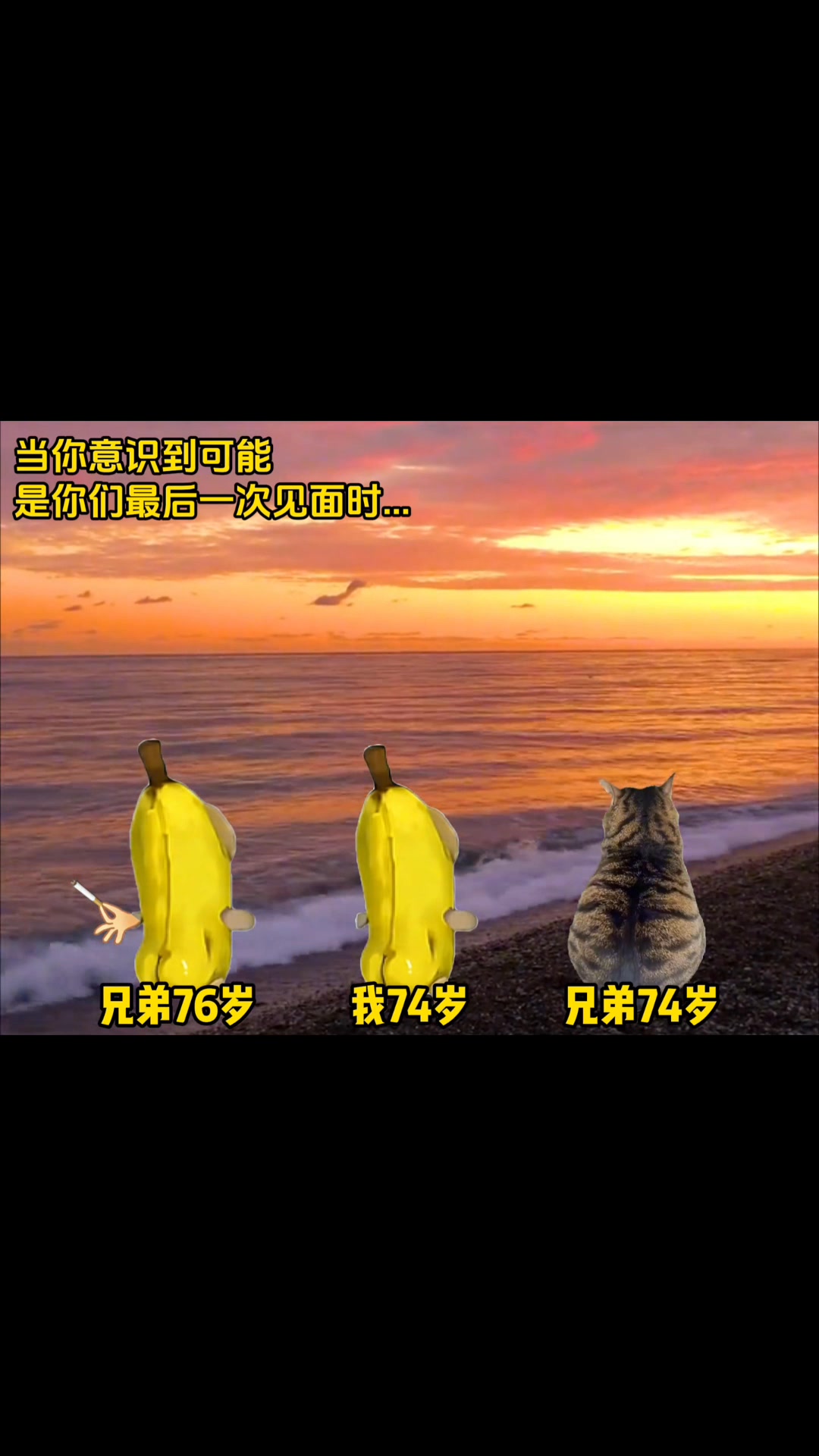 当你意识到可能跟兄弟最后一次见面时 #猫meme #兄弟 | 小猫meme呀 | Facebook