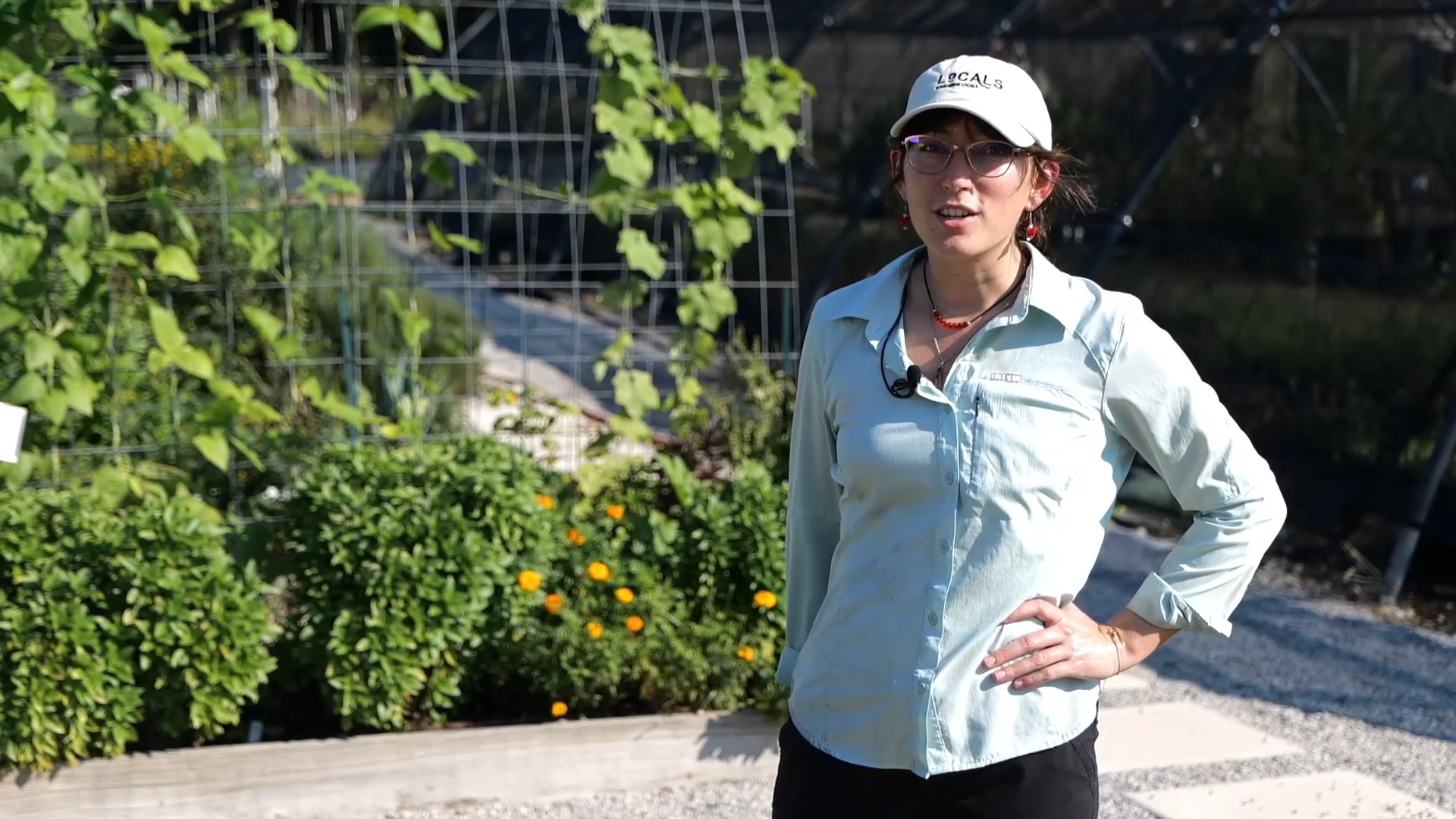 Izzi Frank, LSU AgCenter extension associate, explains how to install a ...
