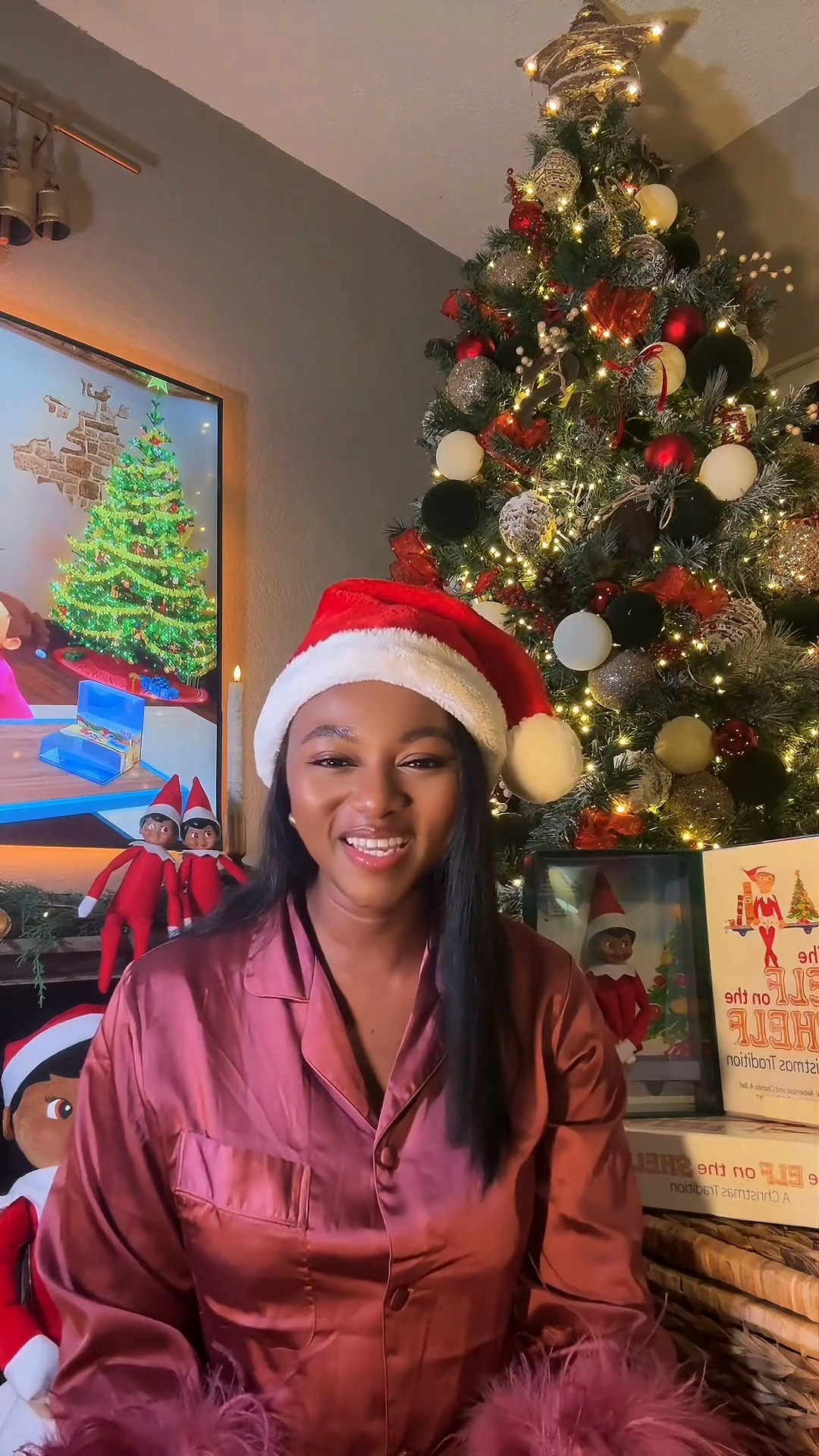 From the moment their Scout Elf first arrived, the Solomon family has ...