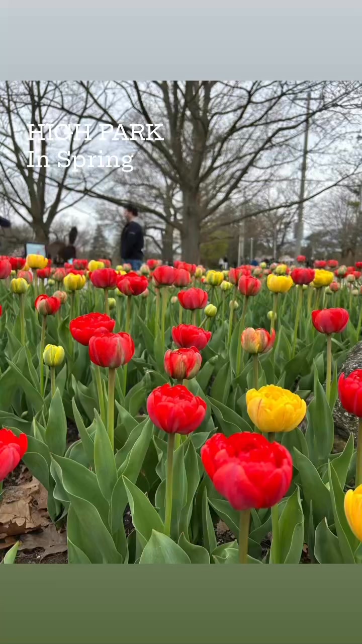 High Park in Spring, Toronto, Canada 🇨🇦 #toronto #ontario #canada # ...