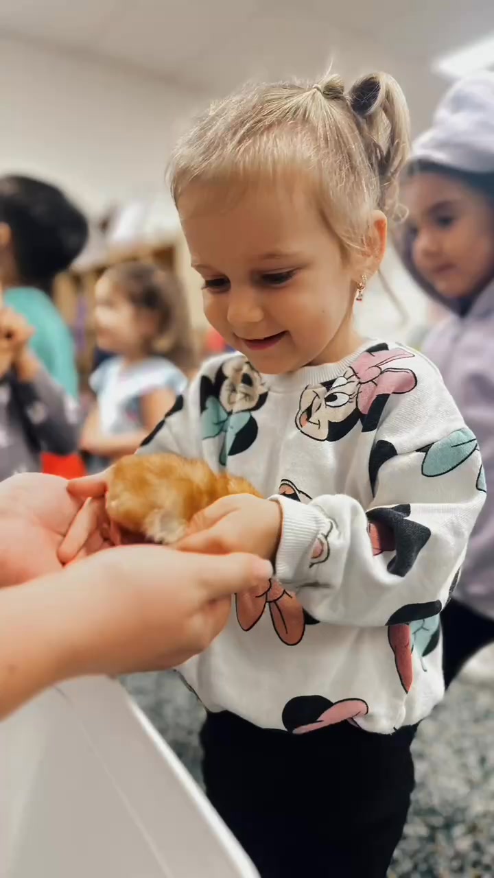 Hatchlings Early Learning Rochedale | Rochedale QLD
