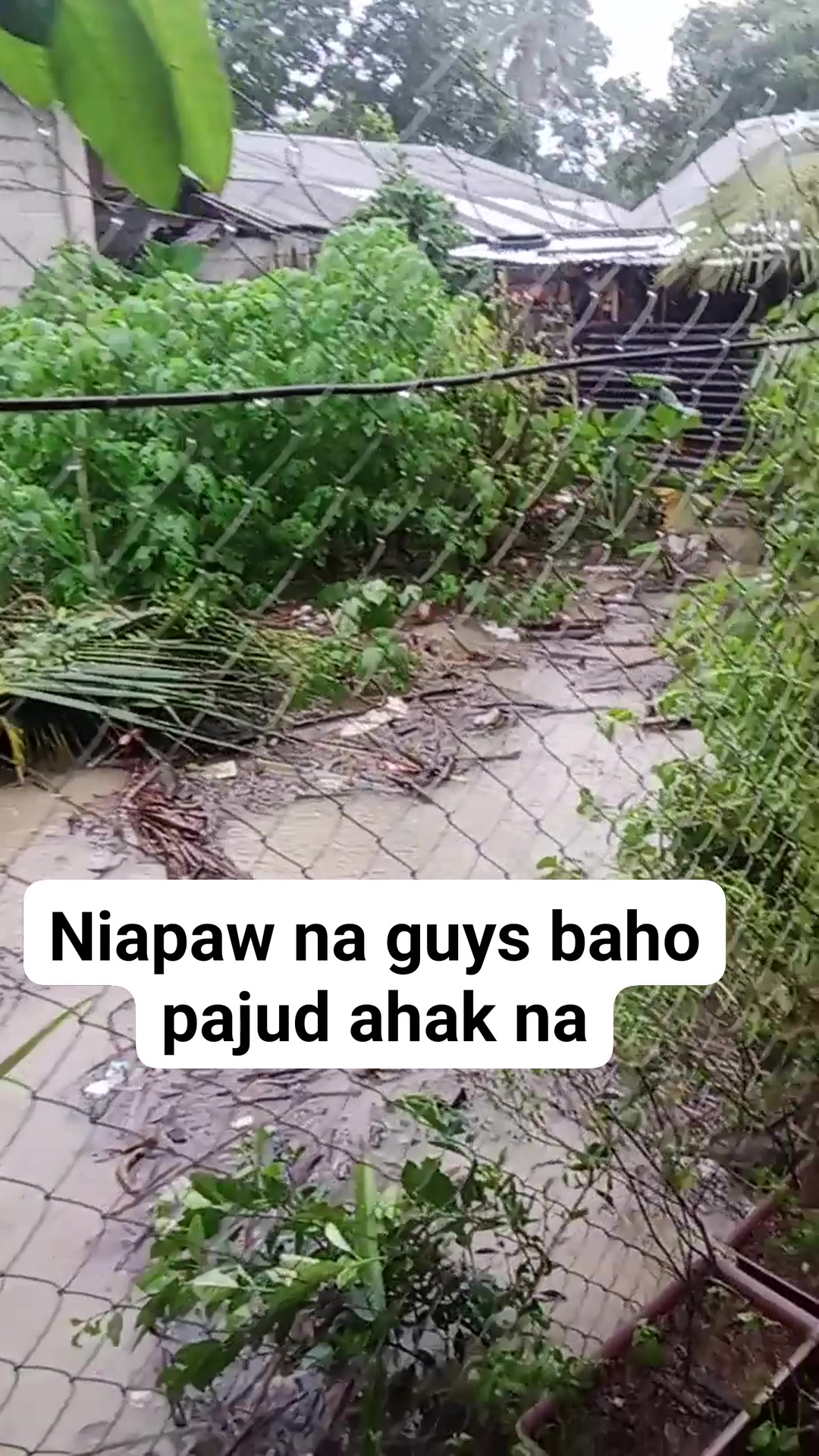Apaw nang tubig baho pajud ni sa kakusog sa ulan #fbreelsfypシ゚ ...