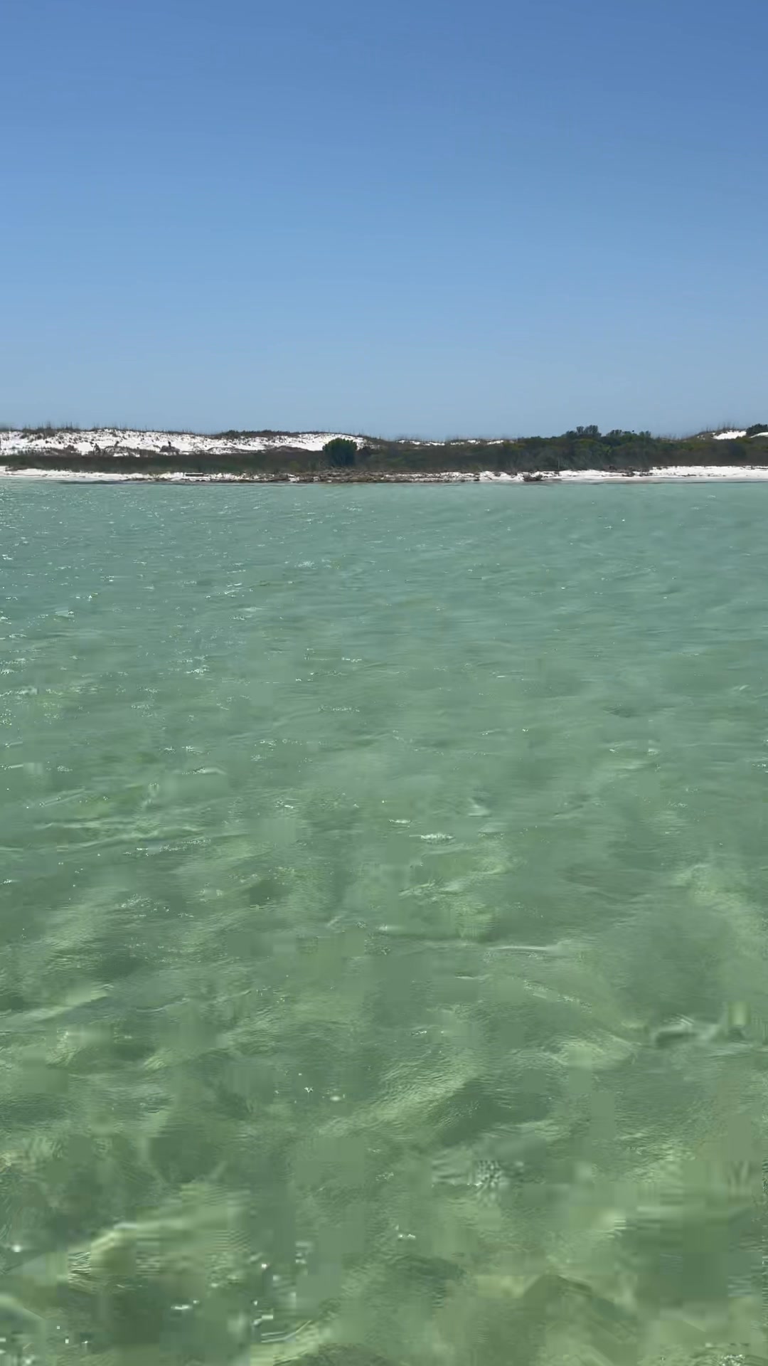 Shell Island views today ☀️ - Visit Panama City Beach | Facebook