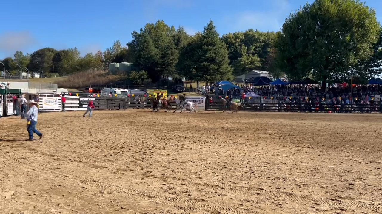 And that’s the first horse bucked out at the Waikato Rodeo 2025 ...