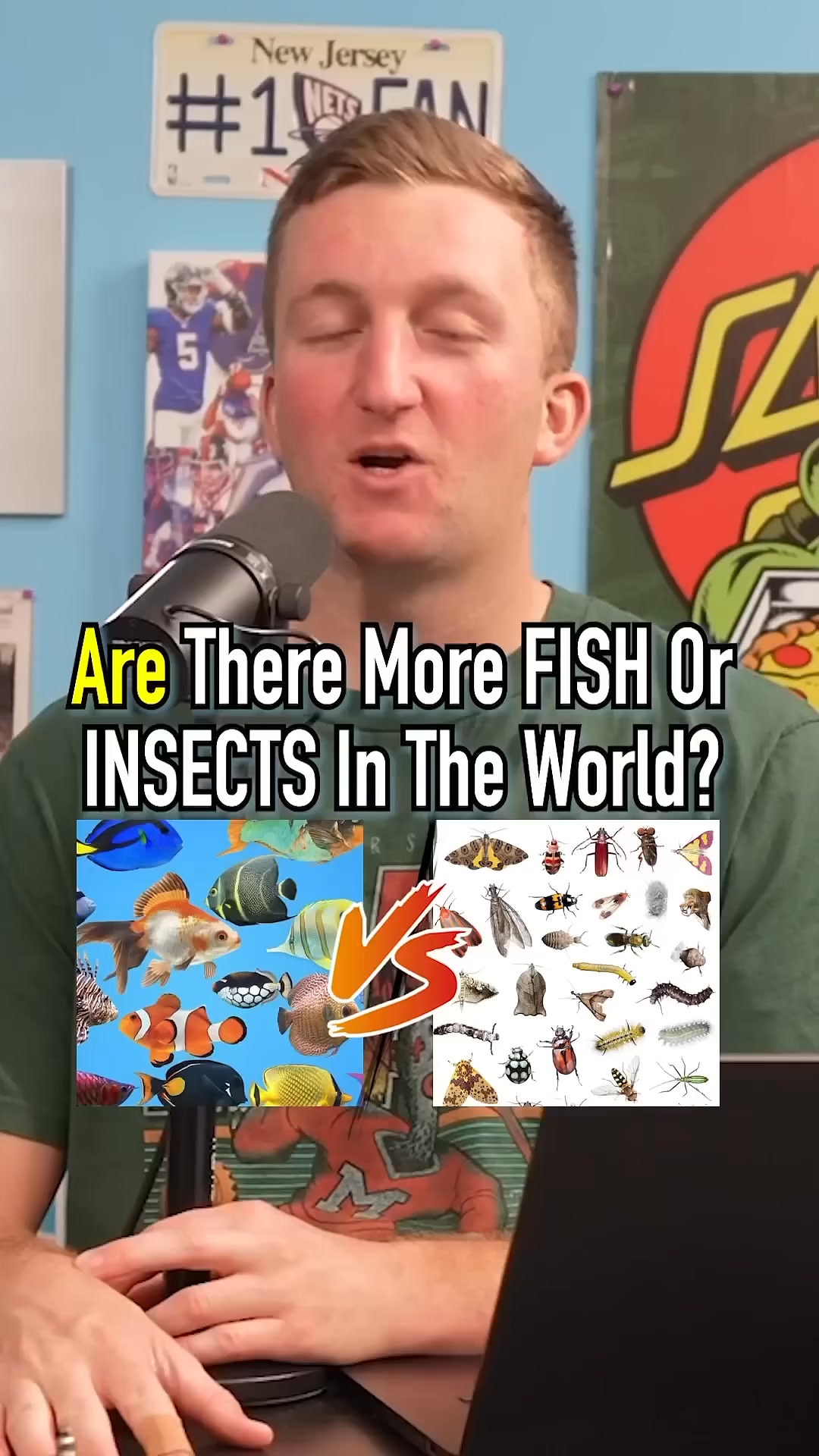 More FISH Or INSECTS In The World？! Which Is Right #shorts #animals # ...
