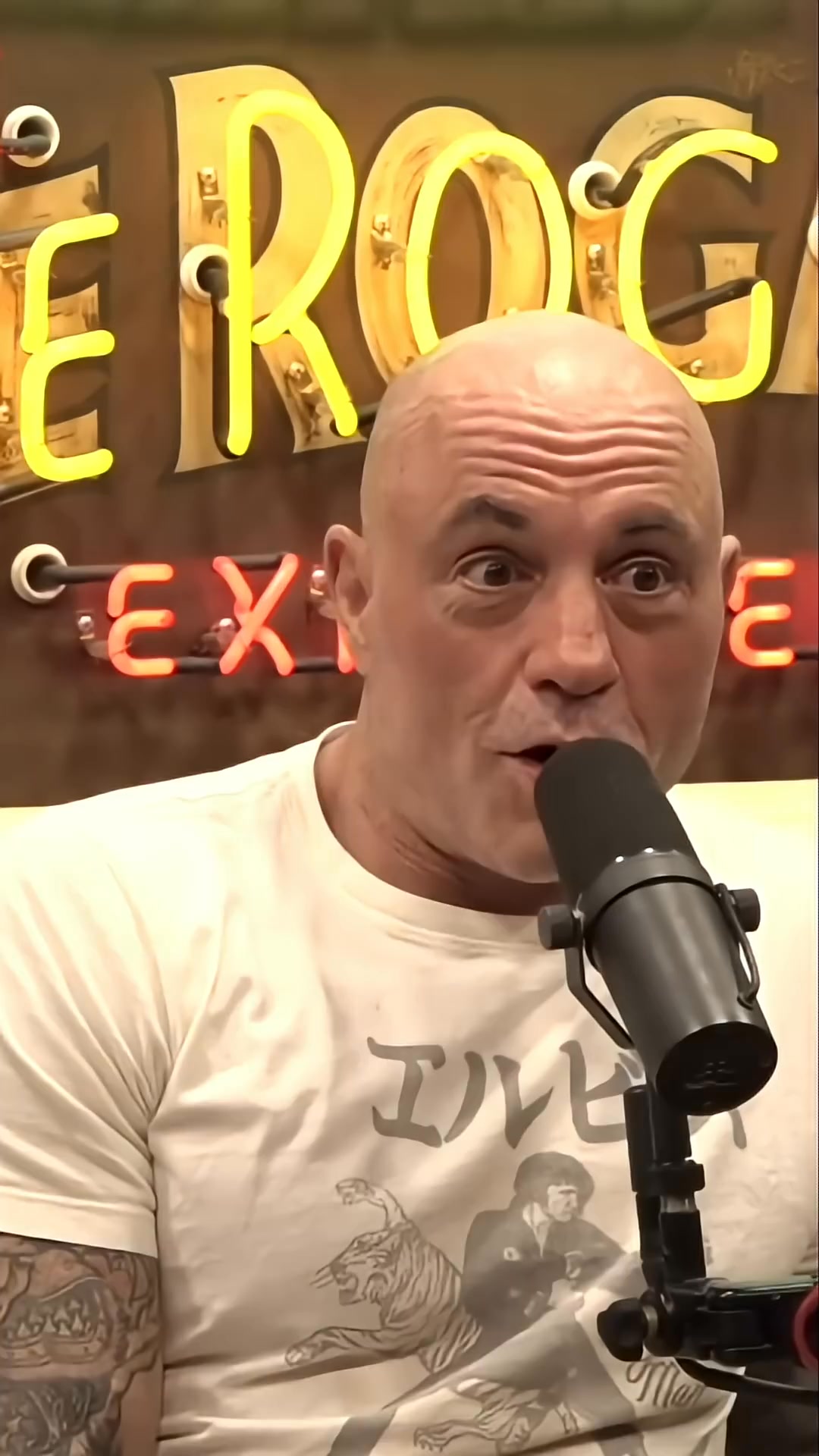 Joe Rogan Reacts to Brandon Gill Roasting Democrat | The Policy Rooms ...