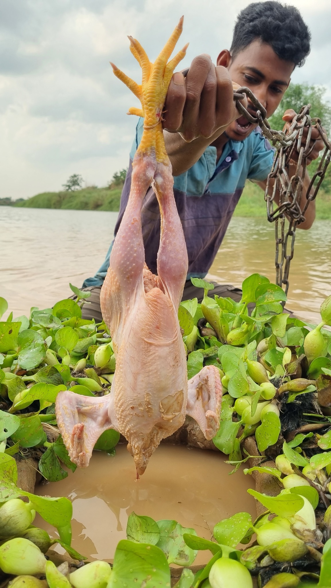 Unbelievable technique fishing with chicken #fish #video #reels # ...