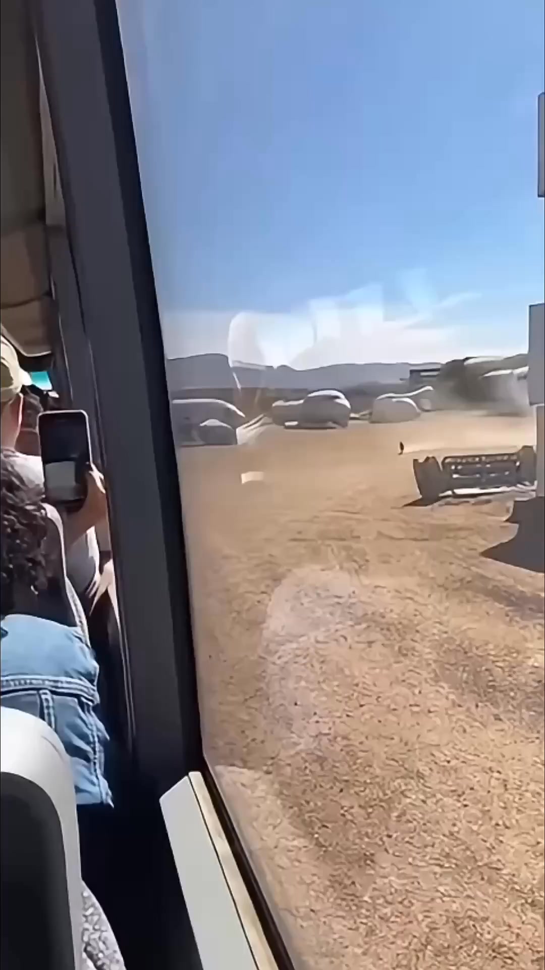 Crazy Looney Tunes _Fast and Furry-ous_ spotted on a plane bus tour 😂 ...