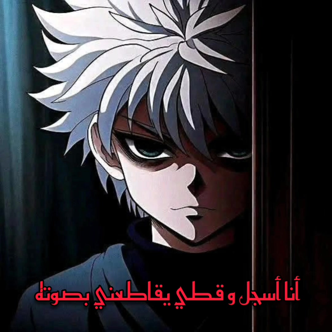 أنا أسجل و قطي يقاطعني بصوته 😑 قطٌ غبي #زهرة_أيت_جواح | زهرة أيت جواح ...