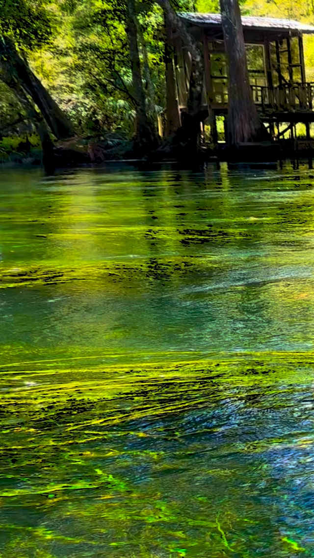 The Forgotten Coast is a coastal stretch of the Florida Panhandle that ...