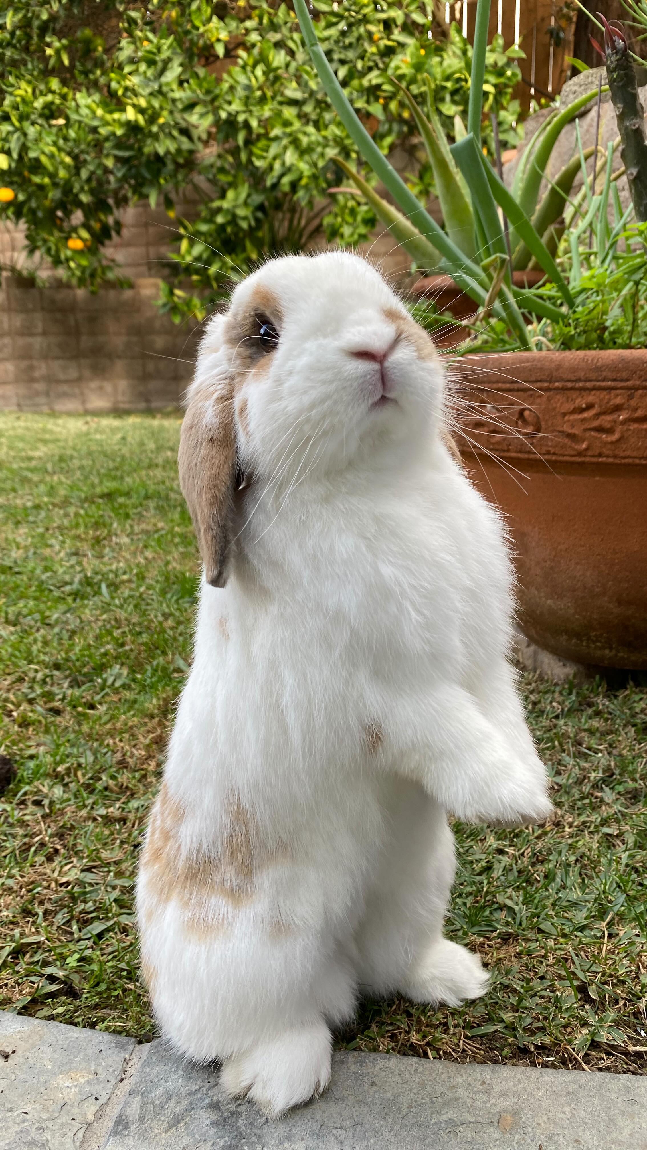 Hoppy Throwback Thursday🐇💨♥️ It’s rainy in LA☔️ . . . . . . . # ...